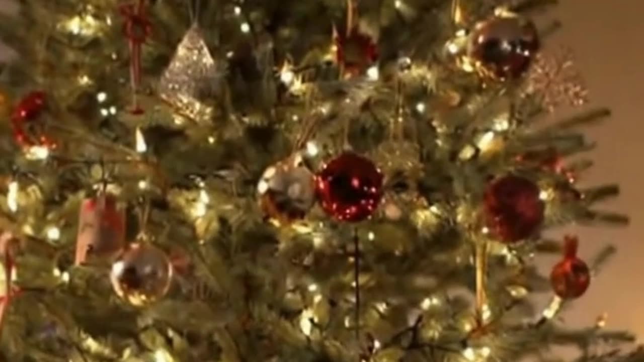 🐱🎄 My Cat Is SO Done With Christmas… This Reaction Sent Me 😂😾✨