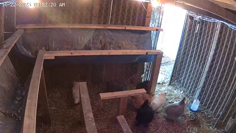 Another Chilly Windy Morning