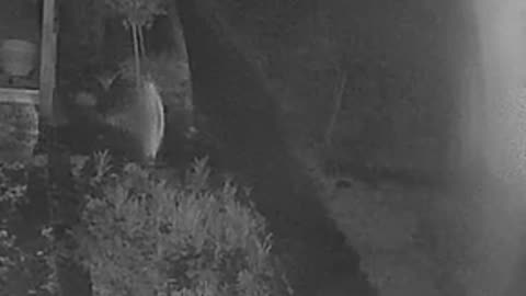 ⚠️👻 Paranormal Phenomenon That Defies Explanation | TheHauntingHour