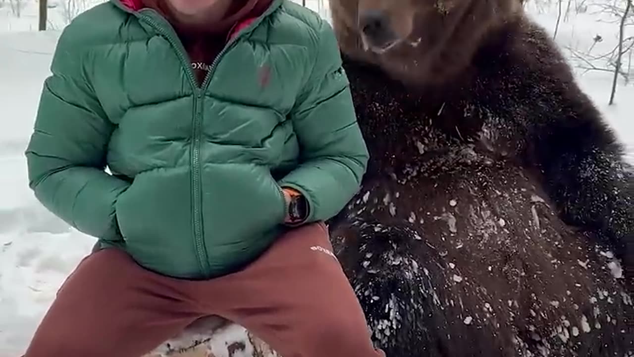 Big friendly bear just wants to hold hands