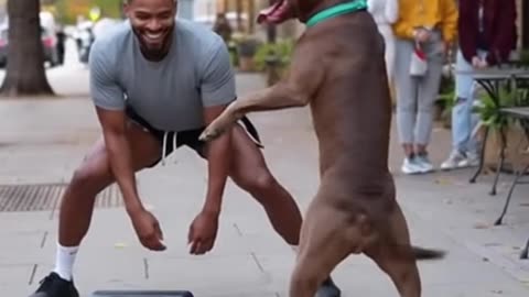 Dog Learns to Dance With Its Owner.
