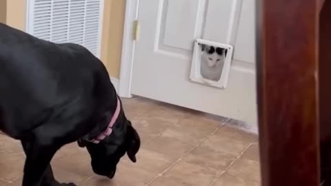 Here’s Johnny 🤣