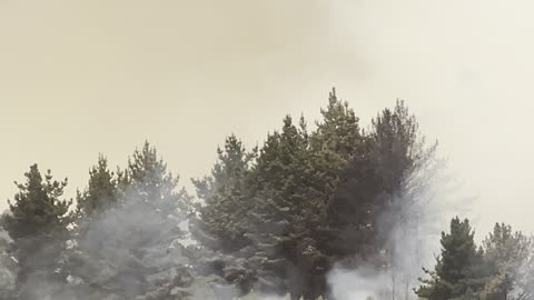 Ten Tanker Drops Fire Suppressant Chemicals on Fire in Chile