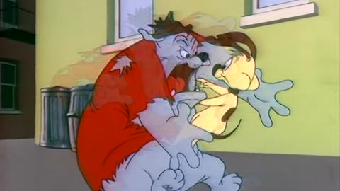 LT (LOONEY TOONS) E 24