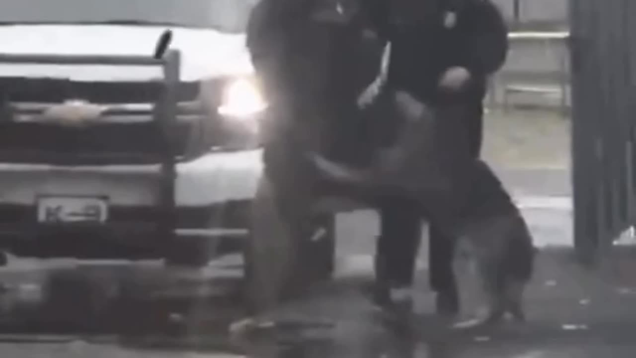 Officer sends his partner to handle business