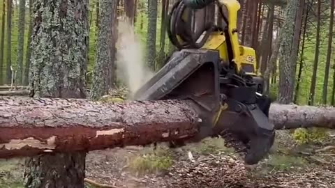 Amazing logs cutter