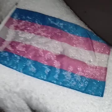 Trans Rights Are Human Rights 💯.