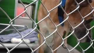 VID_20251121_175022144