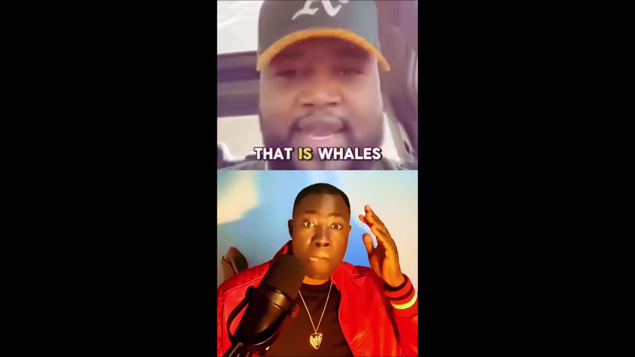 whale