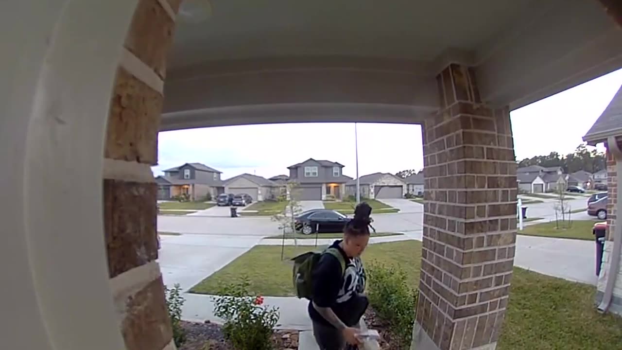 Mom Forgets to Use the Stroller Brakes