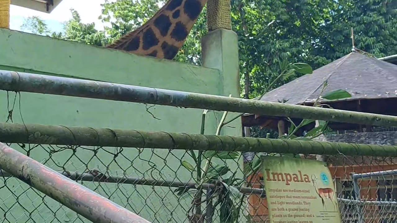 It's lunchtime