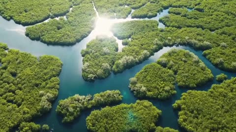 Classical Indie Relax Mix