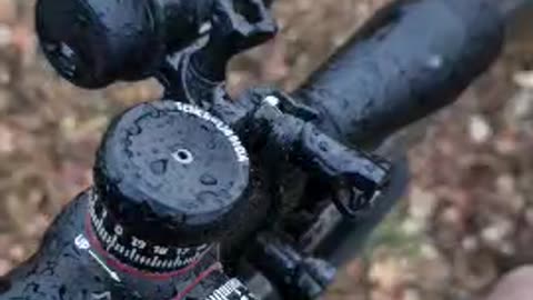 Cold Morning Hunting