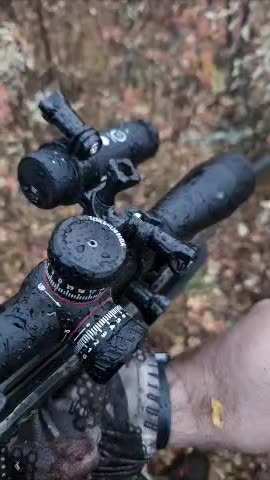 Cold Morning Hunting