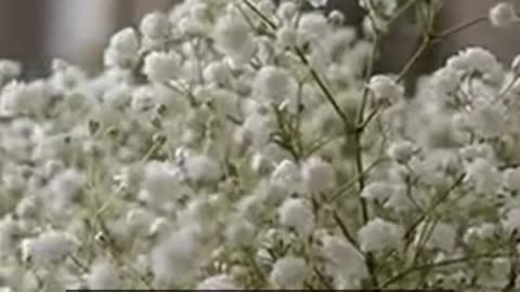 Daily Horoscope | Aquarius 🌟