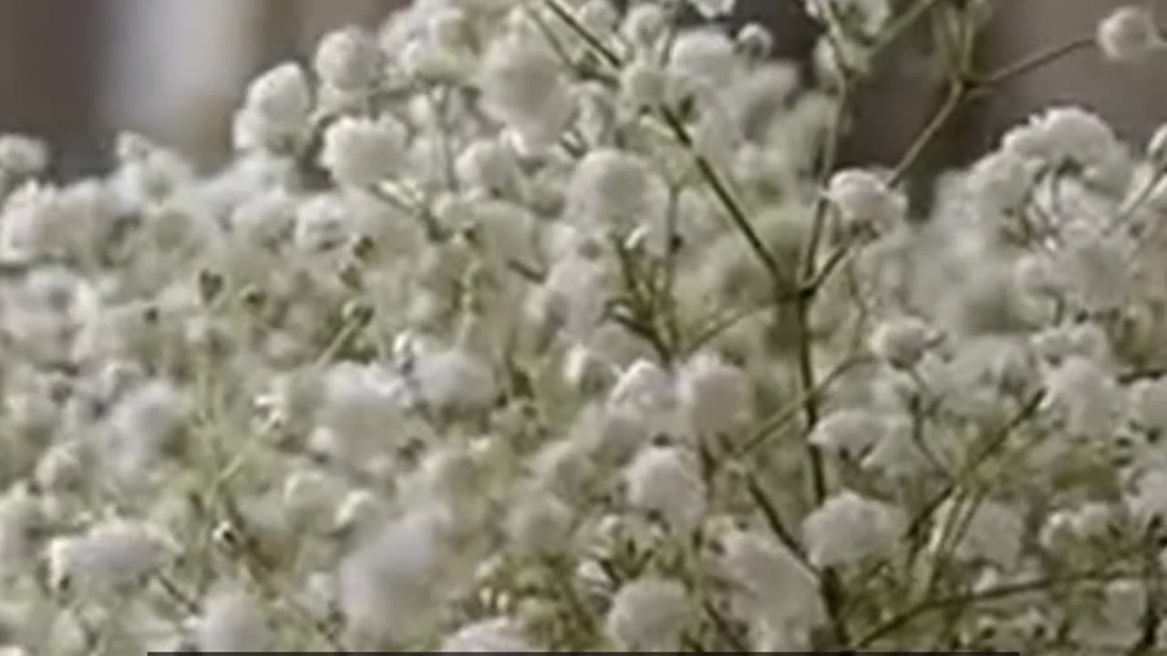 Daily Horoscope | Aquarius 🌟