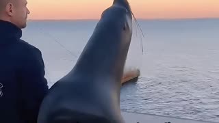This little miracle