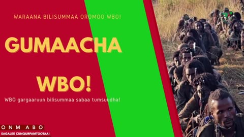 Gabaasa Gumaacha ONM-ABO Onkoloolessa 15-2025 itti dhiyaadhaa!