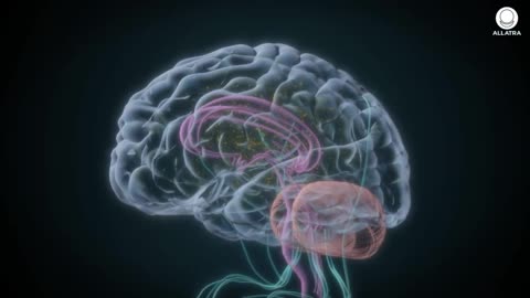 How Does The Invisible Enemy Destroy The Cells Of Your Body?