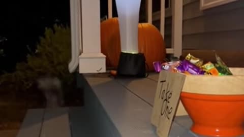 Polite Skunk Follows Halloween Rules! 🦨🎃