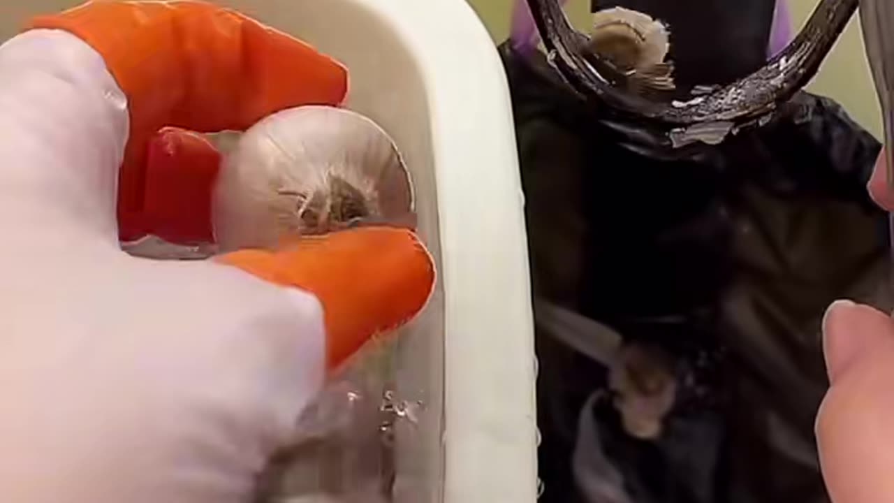 Watch Tools in Action! #Satisfying | FeedMyCuriosity