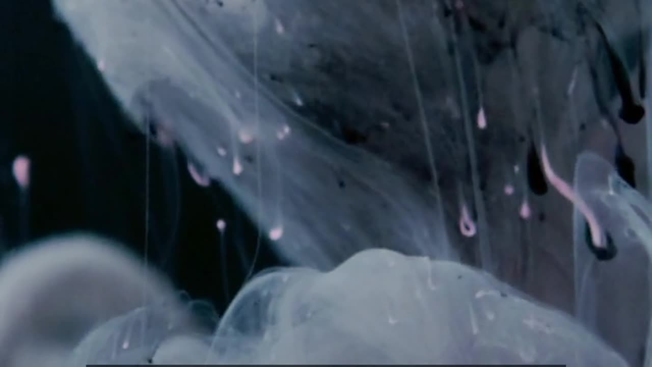 Daily Horoscope | Aquarius 🌟