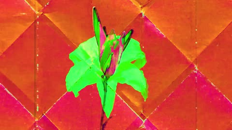 Gayoso Girls are Golden (short poem)