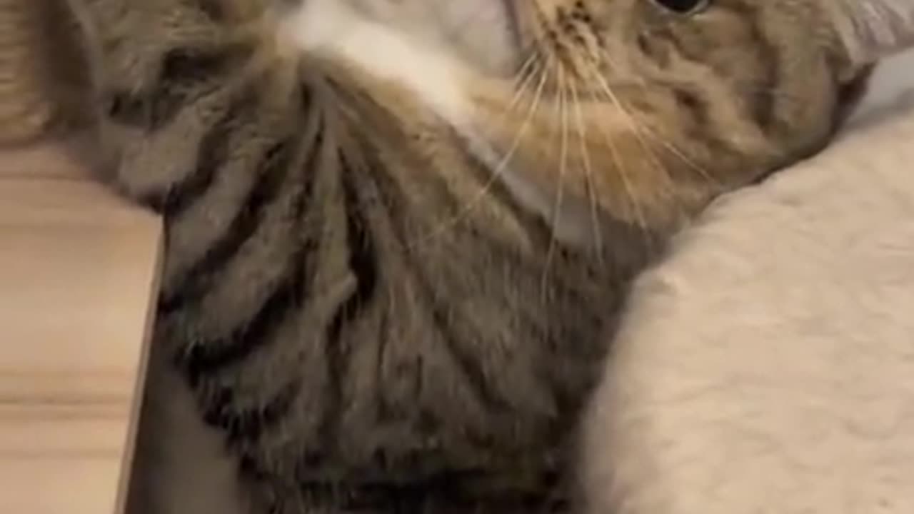 Friday at work all pooped out