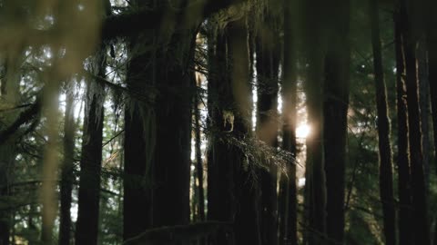 "A truly strong person does not need to prove anything to anyone, except to himself."