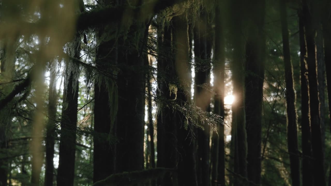 "A truly strong person does not need to prove anything to anyone, except to himself."