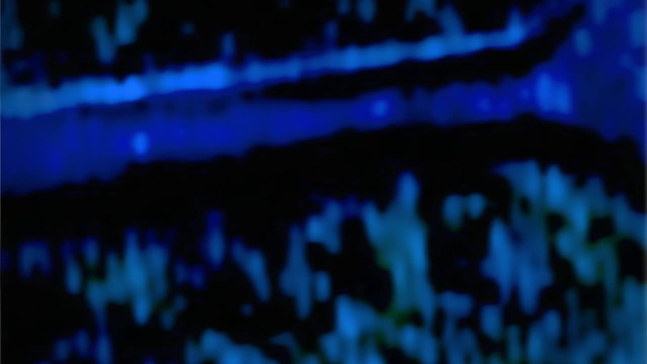 WAV - Shallow Water Discovery