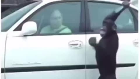 THIS SHOULD COME STANDARD 🐒 ON ALL NEW CAR PURCHASES❗