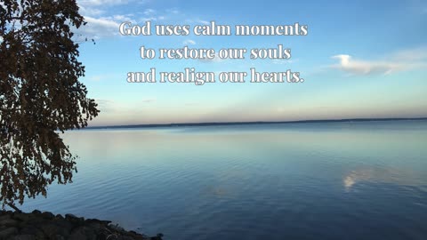 Reflections by C. Nowlen