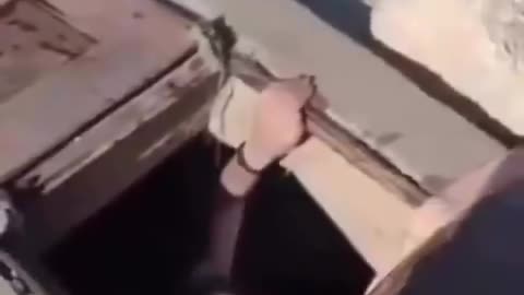 Israeli Settlers Using Goats to Contaminate Palestinian Wells