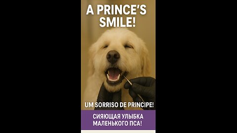 A Prince's Smile! 🦷🐶 See this dog's transformation!