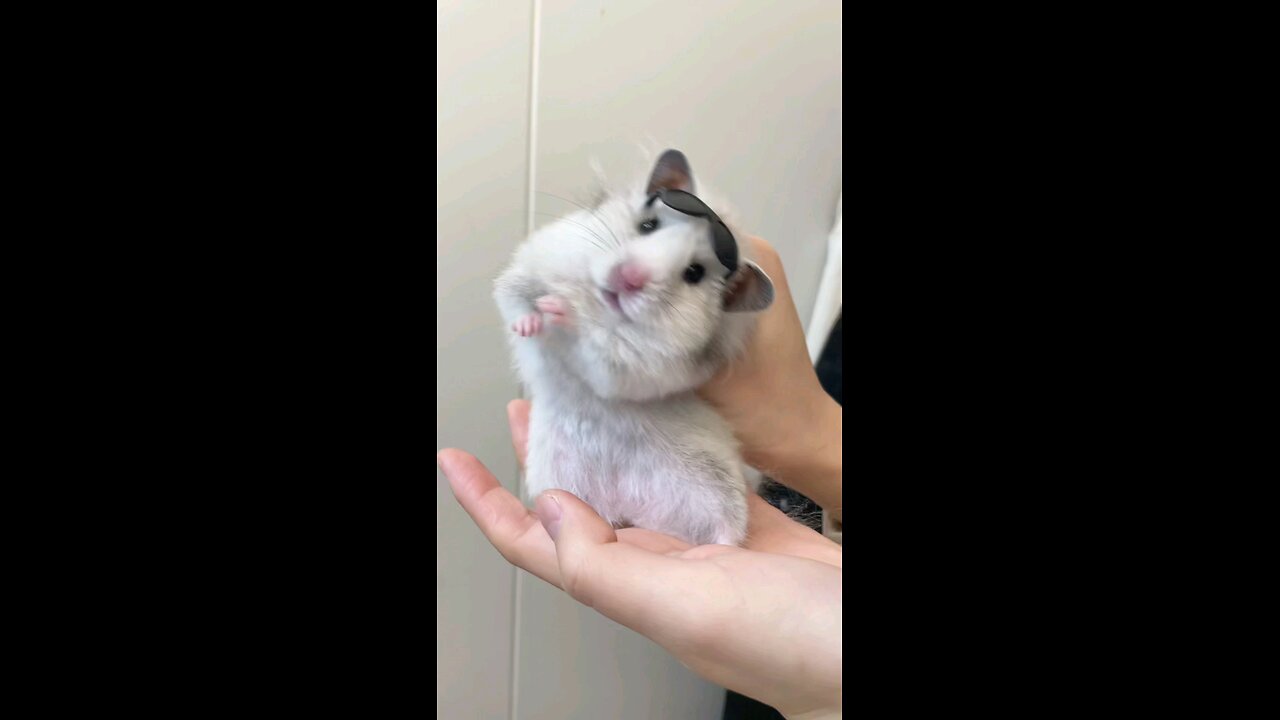 Better dancer than me 😅