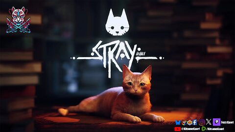 Stray