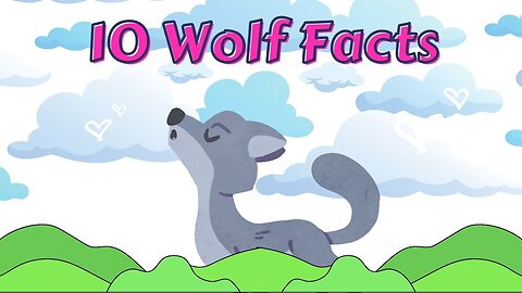 10 Wolf Facts for Kids