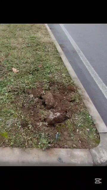 che succede a Magenta?