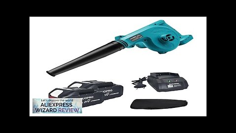 Adjustable Cordless Leaf Blower Electric Air Blower Computer Dust Collector Snow Blowing Review