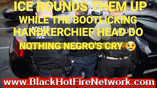 ICE ROUNDS THEM UP WHILE THE BOOTLICKING HANDKERCHIEF HEAD DO NOTHING NEGRO'S CRY!