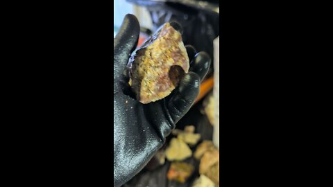 Thunderegg Cut!