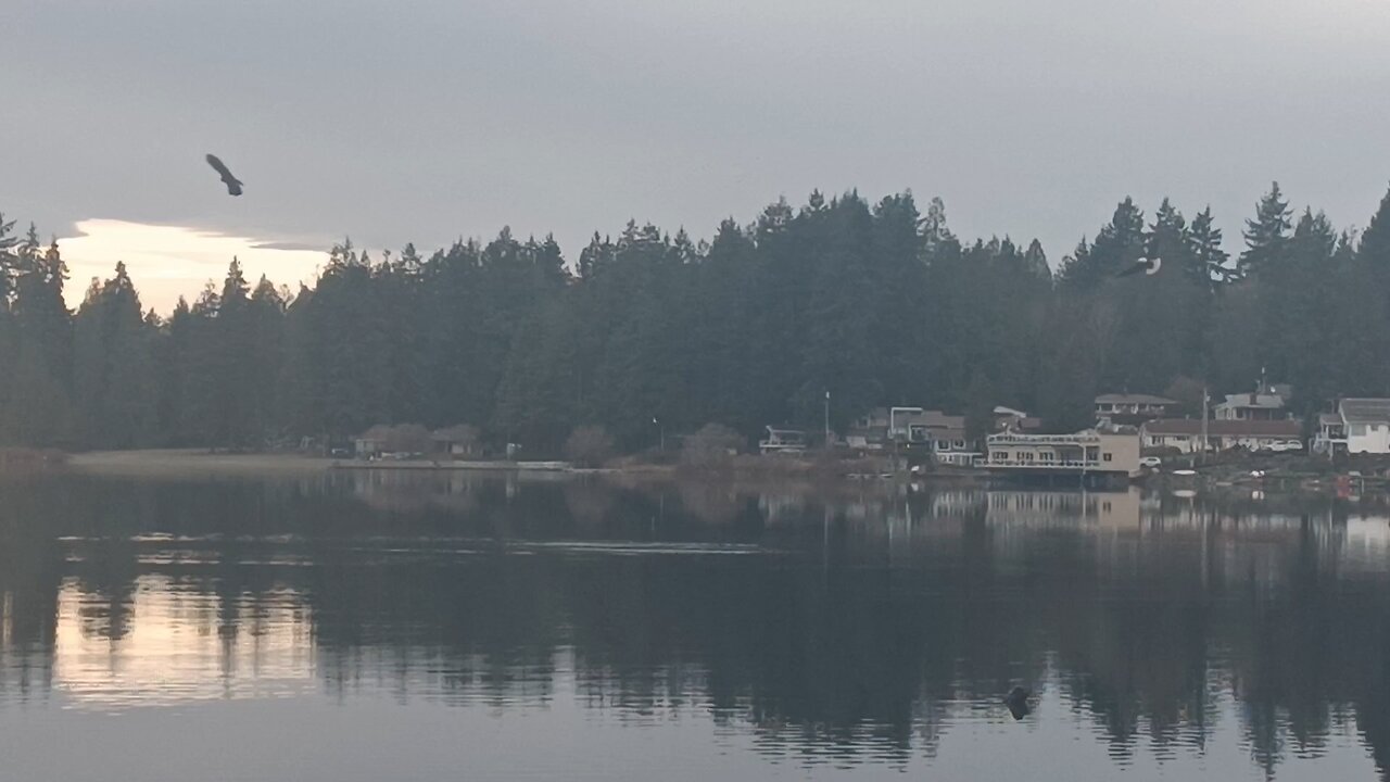 2 EAGLES FISHING 🦅🦅