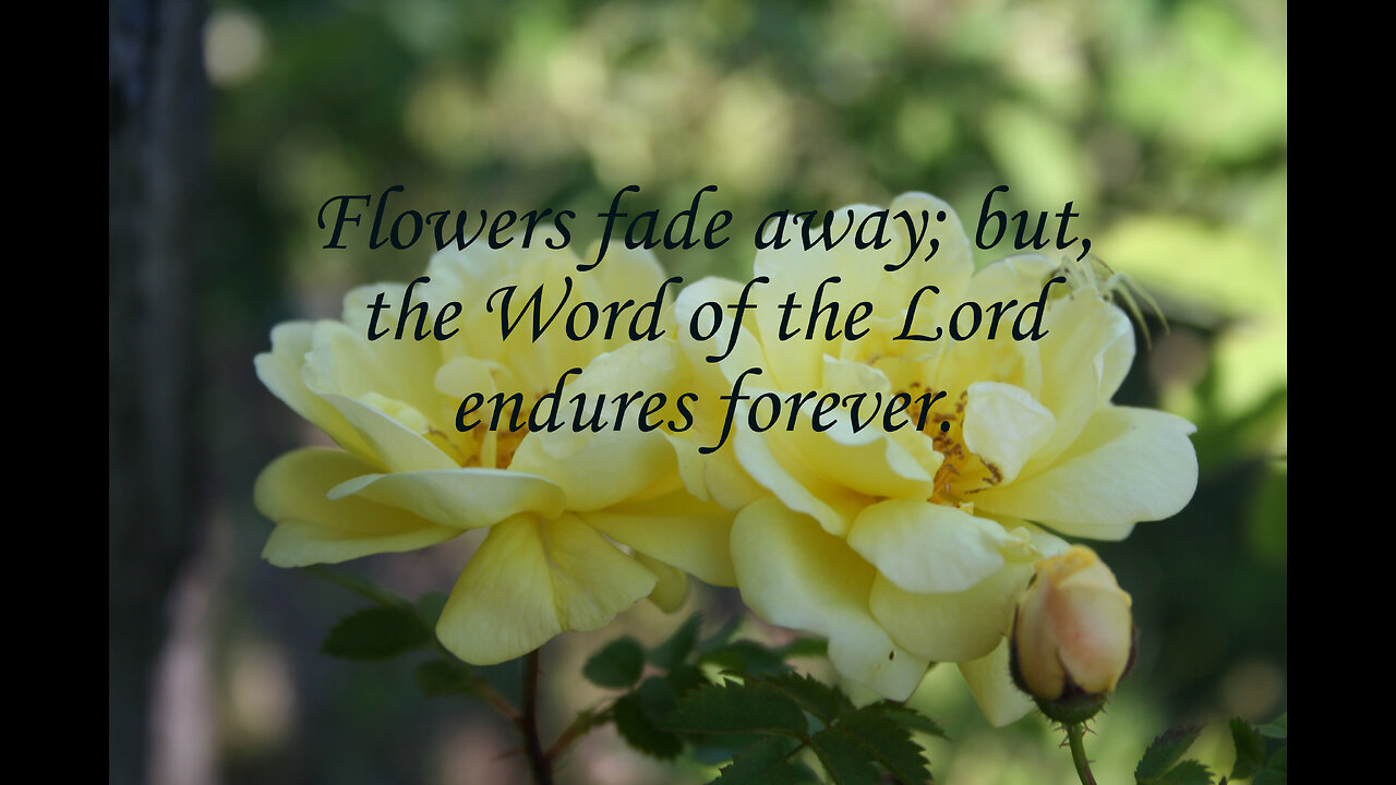 Turn To And Meditate On The Word