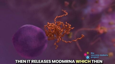 Nicolas Hulscher, MPH - COVID-19 mRNA 'vaccines' , Aug 24, 2025