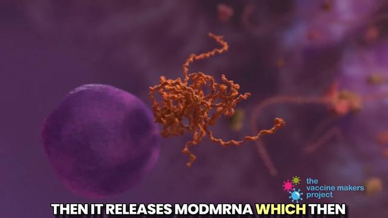 Nicolas Hulscher, MPH - COVID-19 mRNA 'vaccines' , Aug 24, 2025