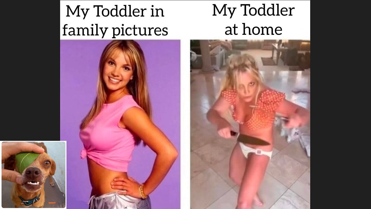 Memes That Will 99.0490% Make You Laugh. (e714)