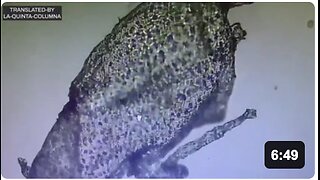 "I have never seen any structures such as this in all my Years of Experience" by La Quinta Columna