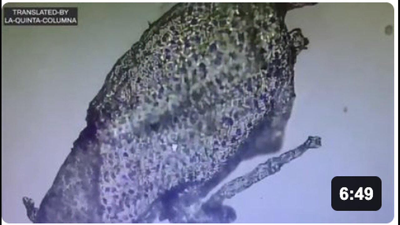 "I have never seen any structures such as this in all my Years of Experience" by La Quinta Columna