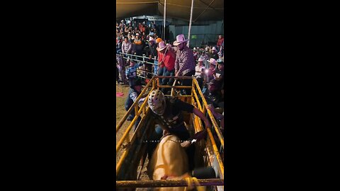 Bull Gone Wild: Shocking Moment a Bull Attacks the Crowd!"